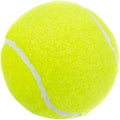 Practice Ball